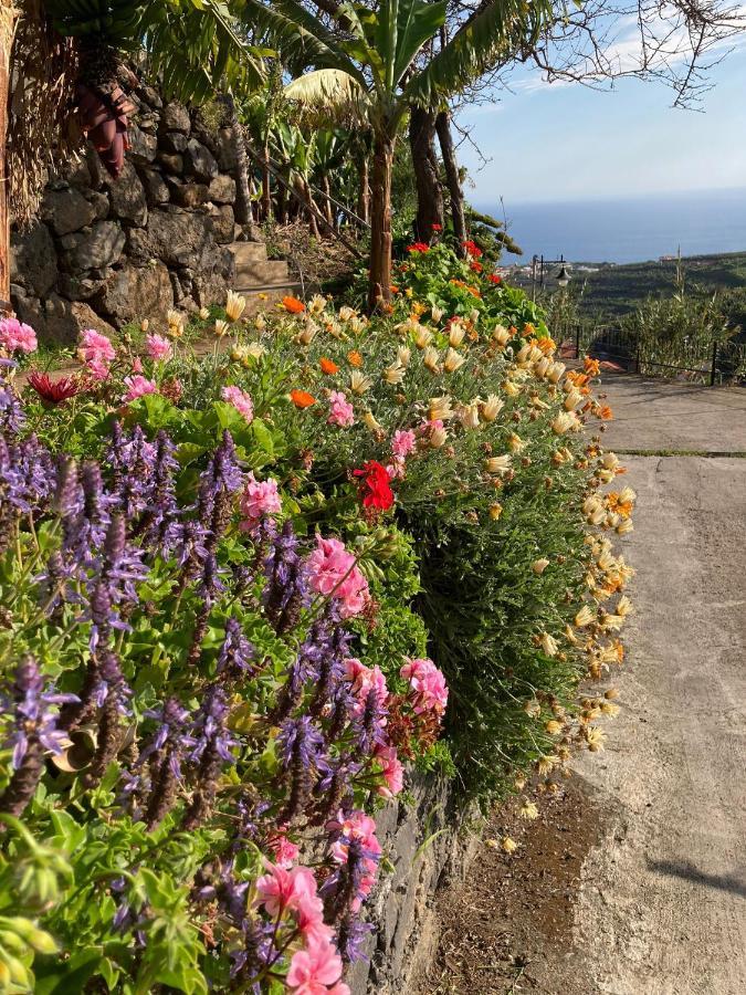 Hotel Fazenda Do Sousinha Funchal  Zewnętrze zdjęcie